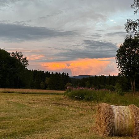 An Der Liesel Wiese Johanngeorgenstadt Esterno foto